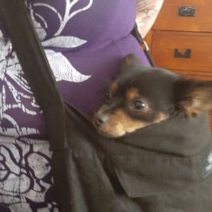 Meet your Posher, Margaret